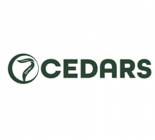 7 Cedars Casino